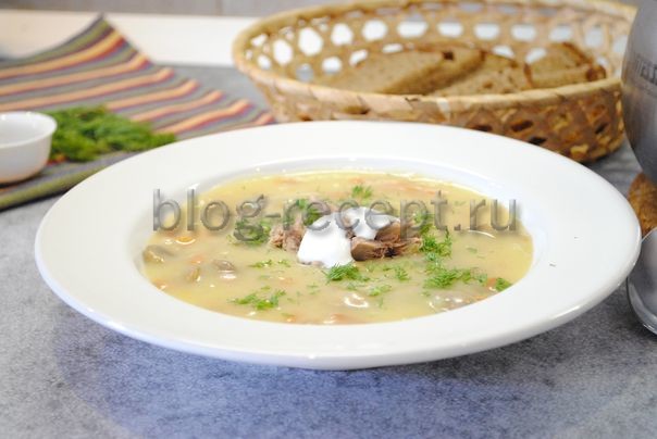 Как приготовить идеальный картофельный суп с грибами и сметаной в горшочке с картофелем и овощами</